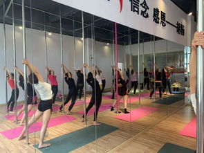 勁爆好消息！胡楊舞蹈周年特惠，僅198元體驗(yàn)舞蹈魅力！