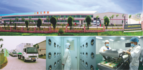 新營銷法則破局數字化時代 廣西春江鹵味鴨掌如何以技術推廣引領零食行業新風潮